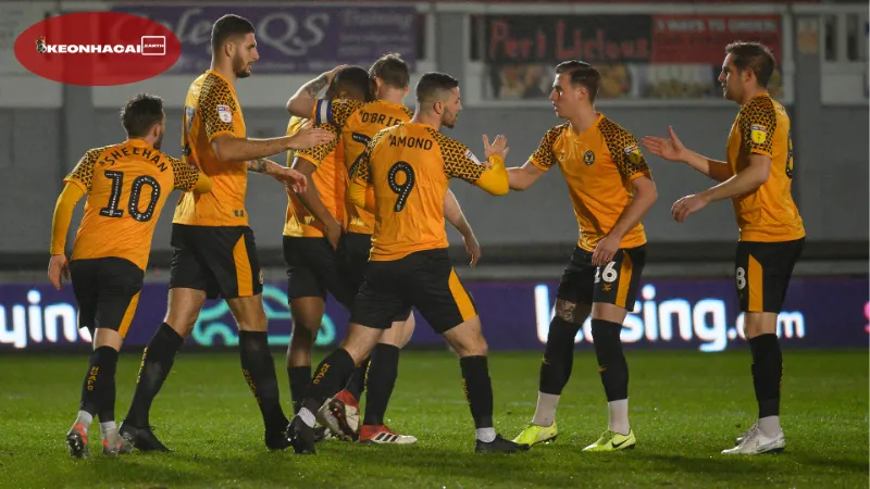Soi kèo bóng đá Cardiff vs Newport County, 01h45 ngày 8/10 2 Thông tin lực Cardiff vs Newport County mới nhất